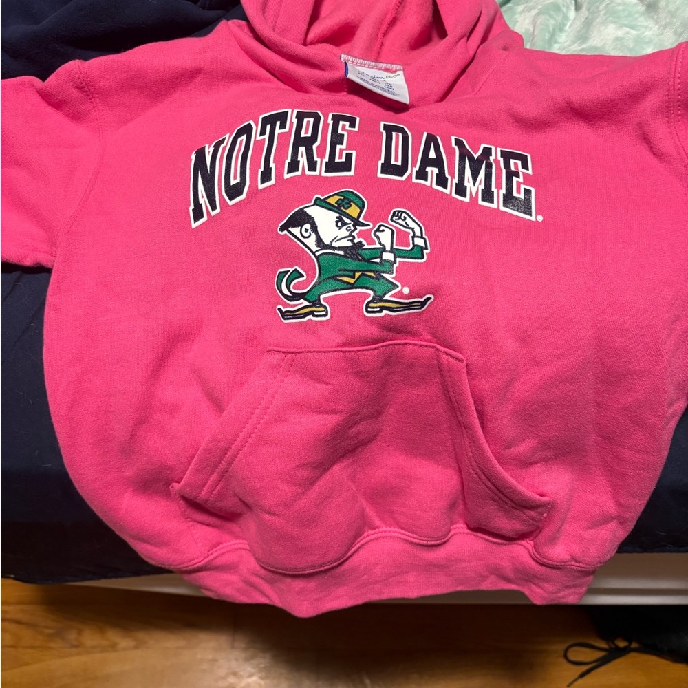 Champion Pink Youth Hoodie Notre Dame